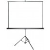 Ecran de projection portatif Screen Up Training